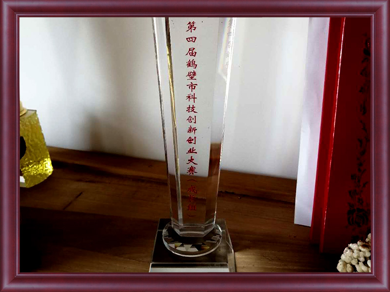 資質(zhì)榮譽